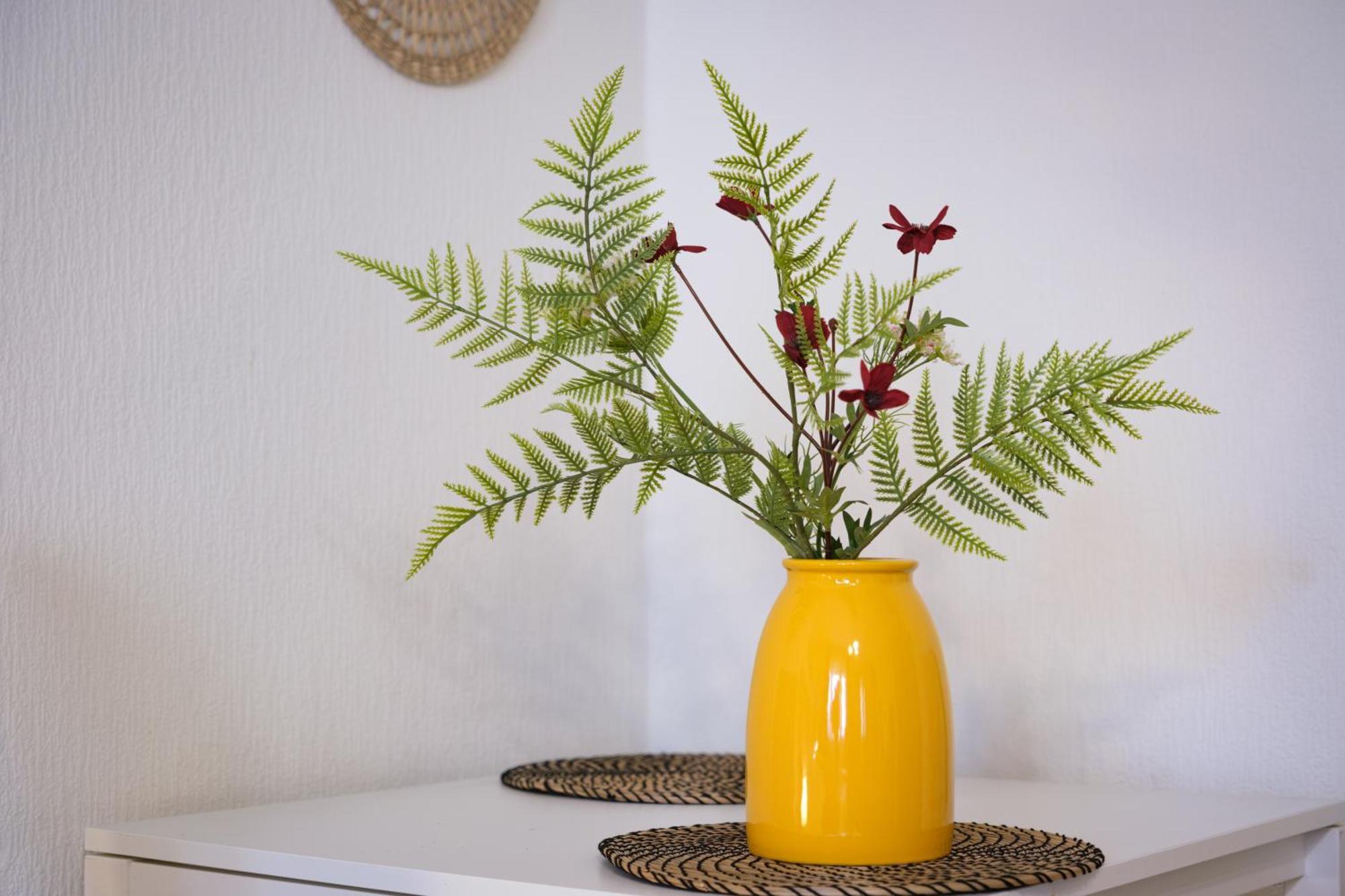 Apartamento Balzac *